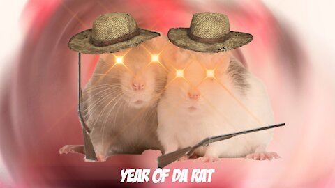 We are rats🐀🐀🧀🧀