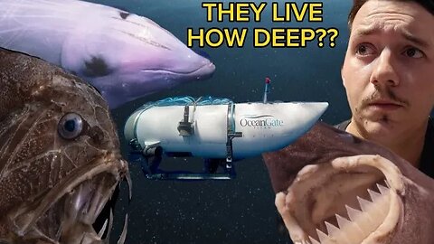 These Animals Live Way Deeper Than the Titan Sub Went