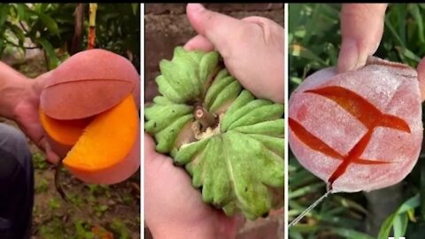 Farm Fresh Ninja Fruit Cutting | Oddly Satisfying Fruit Ninja #04