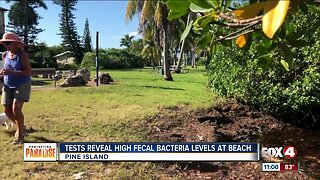 Residents on Pine Island concerned over high levels of bacteria on the beach