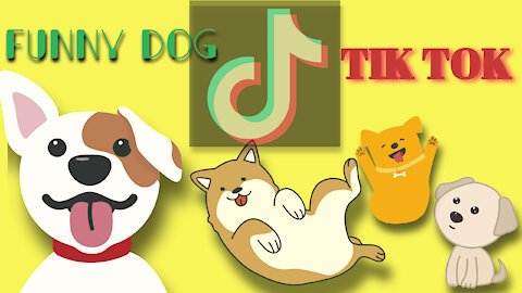 Funny Dogs of TikTok Compilation - Doggos Doing Funny Things TIK TOK -2020-2021