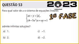 QUESTÃO 53 : VESTIBULAR UNICAMP 2023