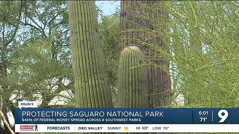 Federal funding to help protect Saguaro National Park
