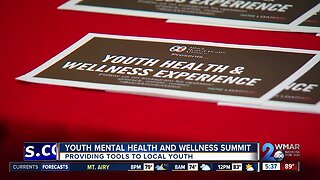 Black Mental Health Alliance hosts youth mental health and wellness summit