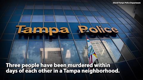 Possible serial killer on loose in Tampa Florida | Rare News