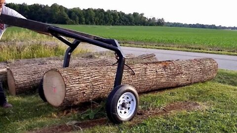 Homemade Log Arch