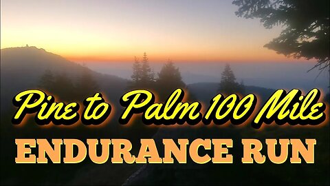 Unfinished Business: 2023 Pine to Palm 100 Mile Endurance Run