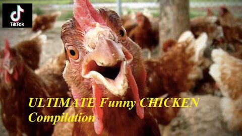 TRY NOT TO LAUGH CHALLENGE | ULTIMATE Funny CHICKEN Compilation of 2021 TikTok #11 抖音