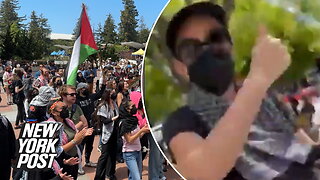 Jewish law student punched in the face at UC Berkeley anti-Israel protest