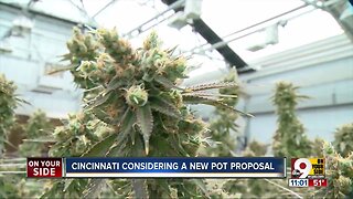 New pot legislation could mean Cincinnati hiring employees with marijuana records