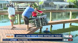 Only Fox 4 joined Ocean Habitats to install artificial mini reefs on Fort Myers Beach