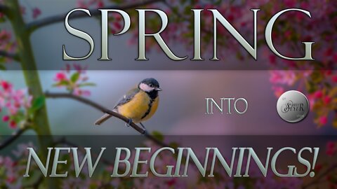 The Larry Seyer Show **Episode 25** - Spring into New Beginnings!