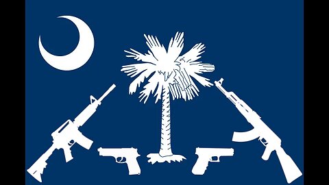 SC Constitutional Carry Debate Part 3 Maybe?