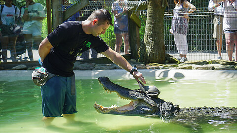 ‘Reptile King’ Is Best Friends With Giant Gator