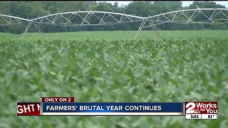 Farmers' brutal year continues