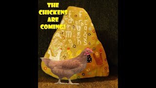 Chicken Coop Rewind Part 1