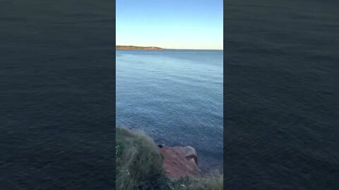 Hurricane Fiona in Prince Edward Island