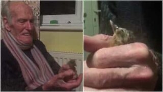 A baby duck brings a smile to this elderly man's face