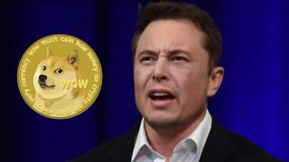 Elon Musk Reveals The SHOCKING TRUTH ⚠️ Dogecoin Update ⚠️