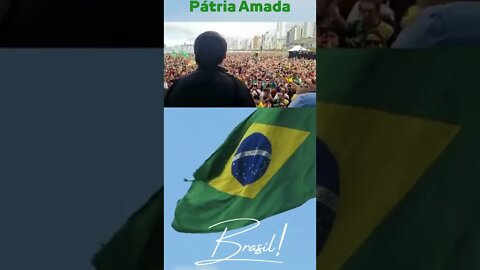 PÁTRIA AMADA BRASIL #shorts