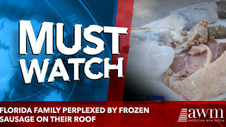 Florida family perplexed by frozen sausage on their roof