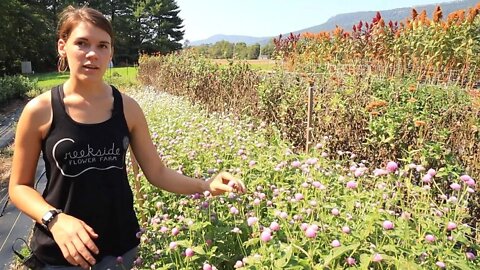 Beauty that Feeds the Soul: Creekside Flower Farm