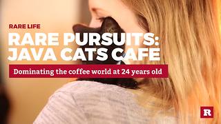 Rare Pursuits: Java Cats Cafe