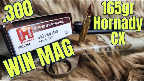 .300 win mag 165gr Hornady Cx Superformance Review
