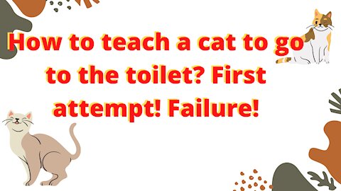 🔴🔴😱😱👉👉How to teach a cat to go to the toilet? First attempt! Failure!