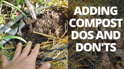 Adding Compost to Plants: Dos and Don'ts