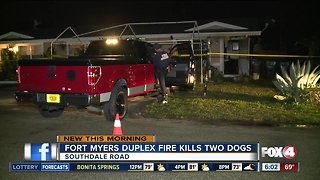 Duplex fire kills two dogs in Fort Myers