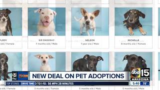 Arizona Humane Society offering 50% off adoptions this Friday and Saturday