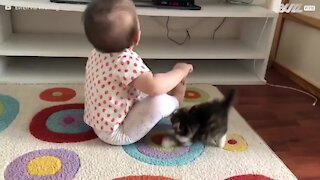 Ce chaton tente en vain d'attirer l'attention d'un bébé