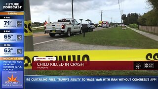 Toddler hit and killed by car in Palmetto