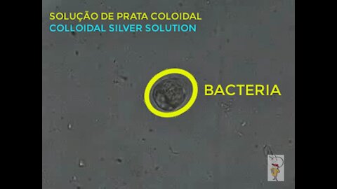 Bacteria versus Prata Coloidal (Bacteria versus Colloidal Silver)