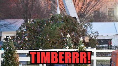 Biden's Tree-tastrophe: National Christmas Tree Takes a Tumble!