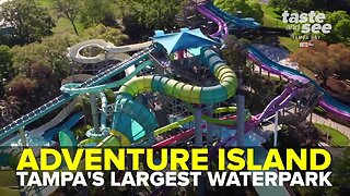 Adventure Island: Tampa Bay's largest waterpark | Taste and See Tampa Bay