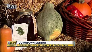 Dumpling Squash: Cider in the City Saturdays at Beacon Park in downtown Detroit