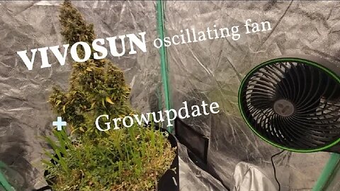 New Oscillating Fan and grow updates