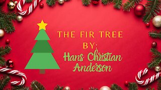 Day 3 Chritmas Countdown The Fir Tree