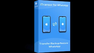 iMyFone iTransor for WhatsApp v4.1.1.3 for FREE