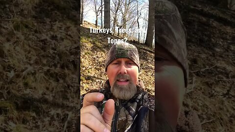 Turkeys, Trees, and Topos? #turkeyhunting #turkeyseason #mountains #Appalachians #hunting #topos