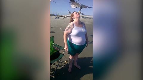 "Ultimate Seagull Whisperer: Seagulls Eat Out Of Woman's Mouth"