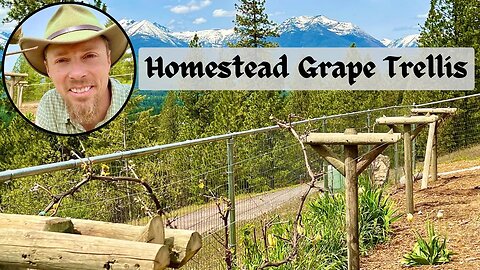 DIY Homestead Grape Trellis / Alaska Prep￼