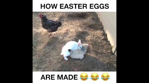 How Easter Eggs were Made?