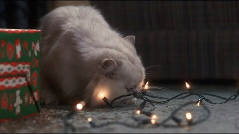 Christmas Vacation "If that thing had 9 lives, he just spent them all" scene