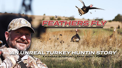 FEATHERS FLY in this one! One WILD TURKEY HUNTING STORY.