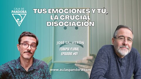 TUS EMOCIONES Y TÚ, la crucial Disociación - José Salmerón ( TERAPIA FLORAL #01 )