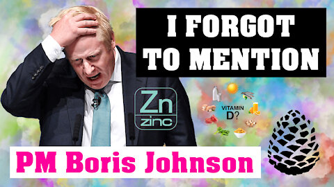 What Boris DID NOT Say, 12th December 2021, Pinecone