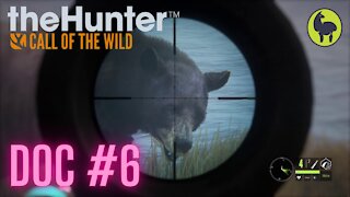 The Hunter: Call of the Wild, Doc #6
